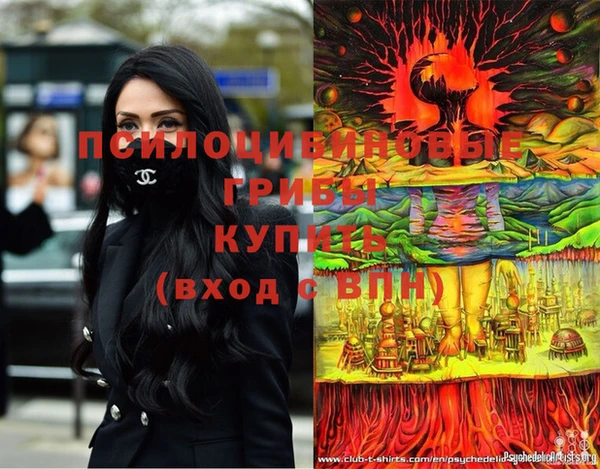 твердый Алексин