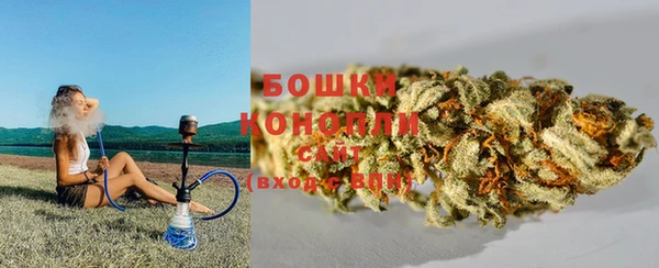 ПСИЛОЦИБИНОВЫЕ ГРИБЫ Алексеевка